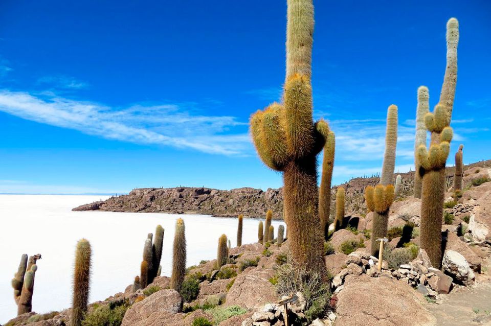 From Sucre: Uyuni Salt Flat Tour 2 Days 1 Night - Frequently Asked Questions