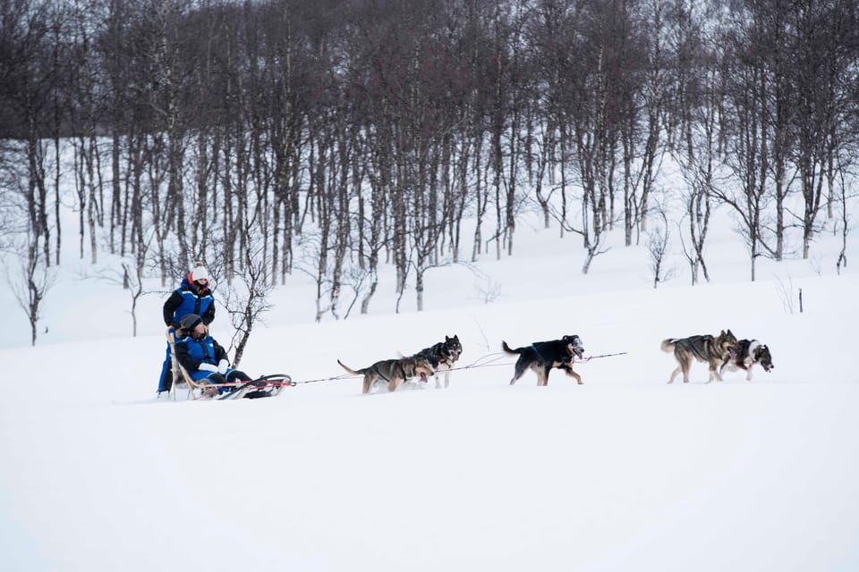 From Tromsø: Advanced Dog Sledding Tour at Camp Tamok - Transportation Details