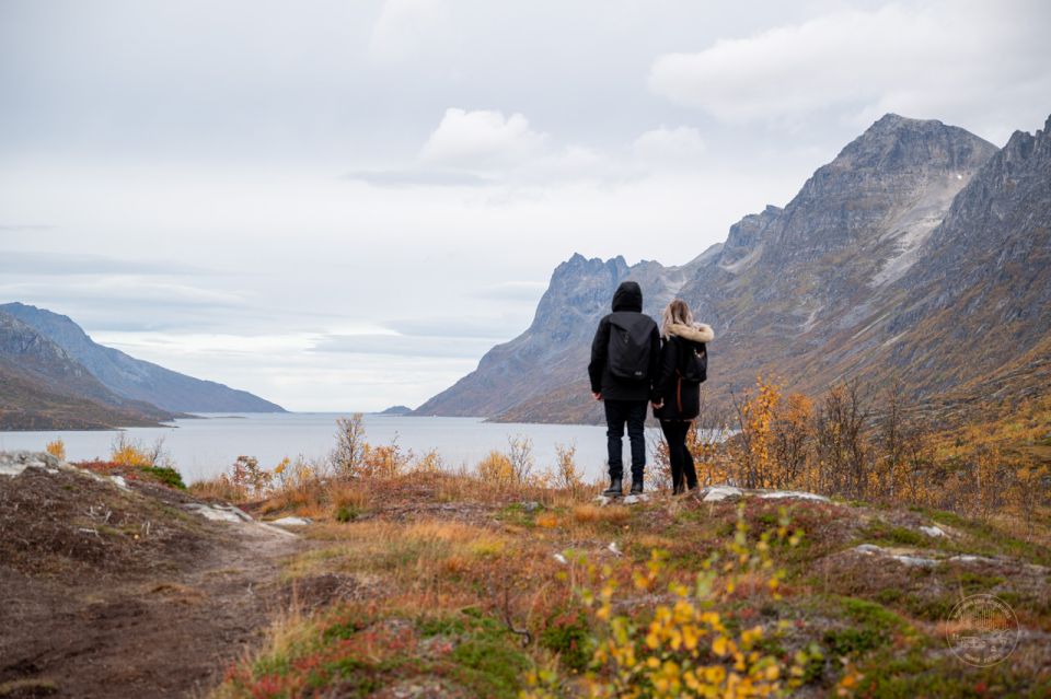 From Tromsø: Arctic Roadtrip - Transportation and Safety Features