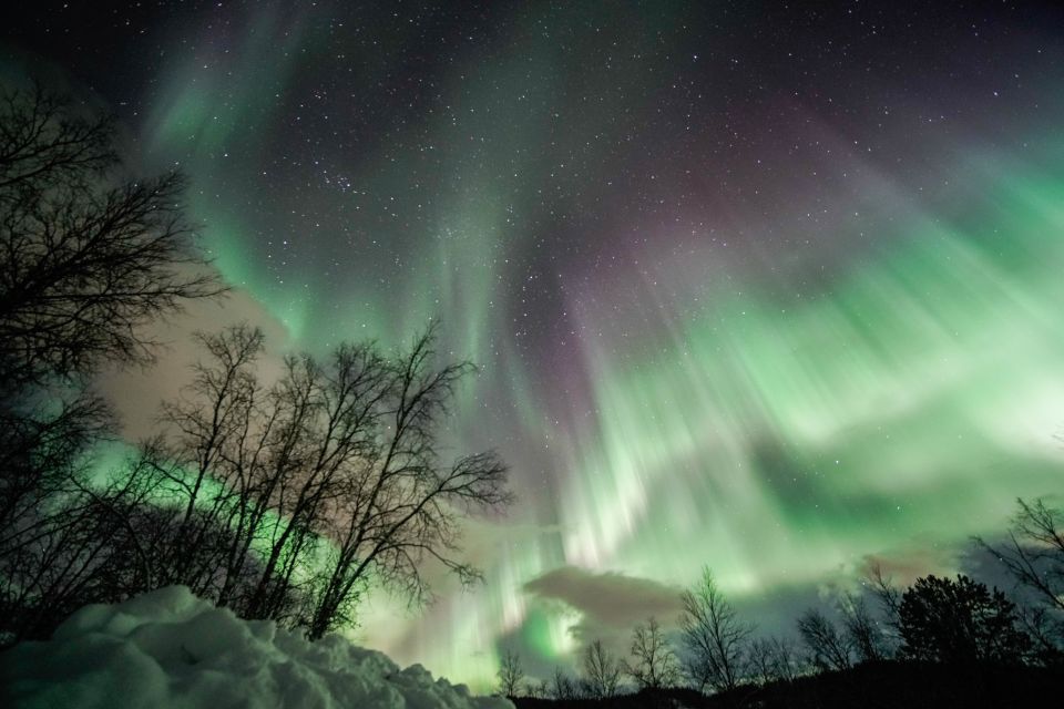 From Tromsø: Aurora Borealis Tour - Traveler Testimonials