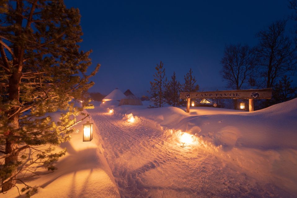 From Tromsø: Evening Reindeer Sledding at Camp Tamok - Frequently Asked Questions