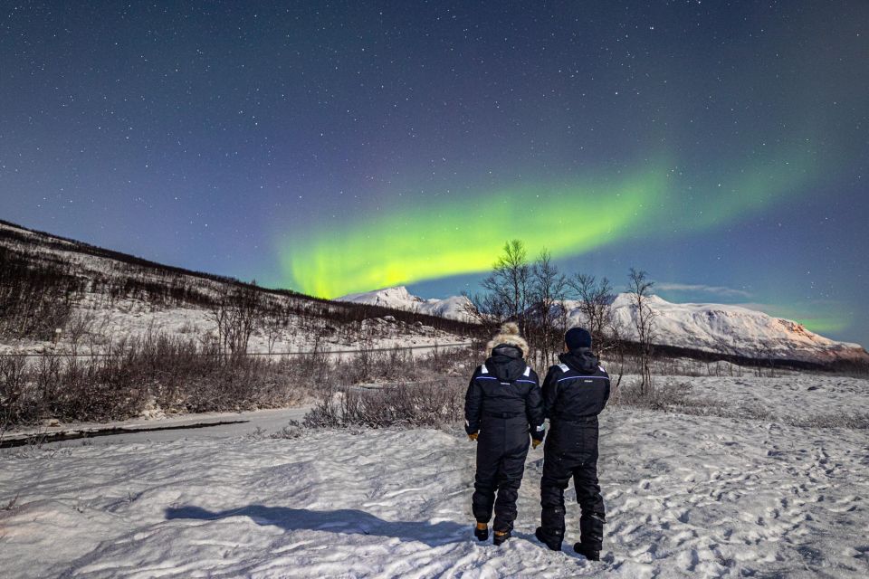 From Tromsø: Northern Lights Chase With Photos and Dinner - Customer Feedback