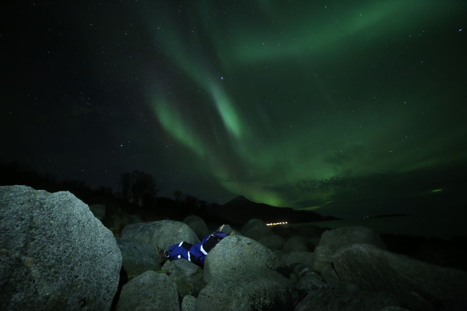 From Tromso: Northern Lights Photography Tour - Customer Reviews and Ratings
