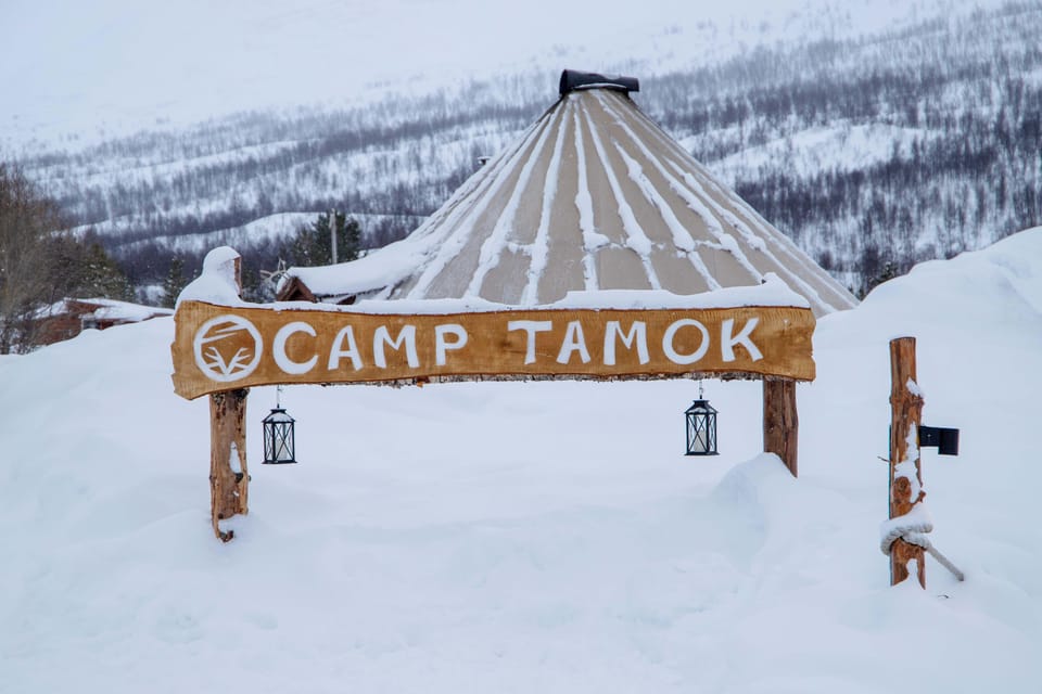 From Tromsø: Snowmobiling Tour at Camp Tamok - Booking Information