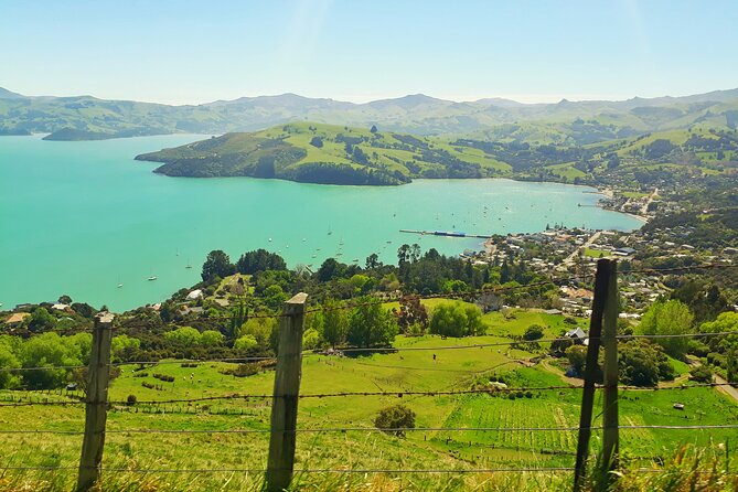 Full-Day Akaroa Tour With Penguins Safari and Wine Tasting - Wildlife Conservation Efforts