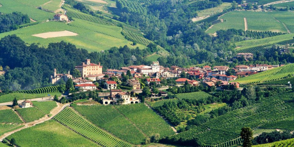 Full-Day Barbaresco Wine Tour With Truffle Hunting and Lunch - Visit to Historic Winery