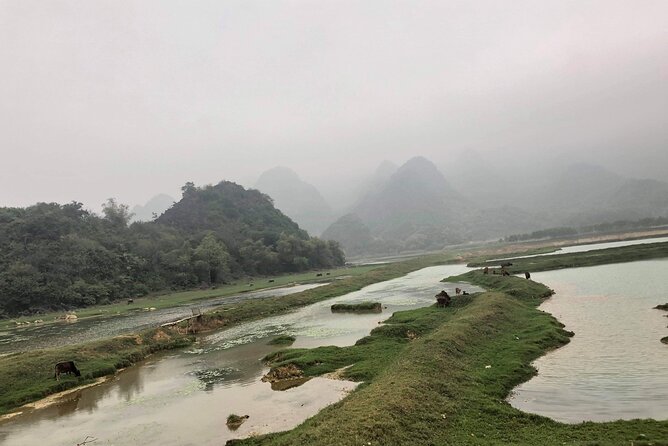 Full-Day Cuc Phuong National Park Hiking Tour - Park Information