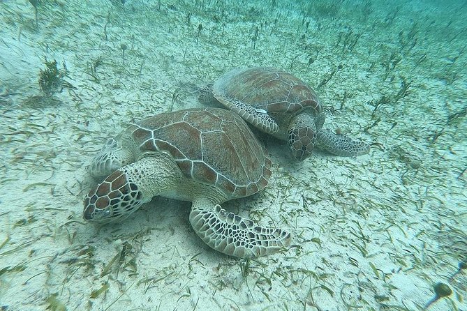 Full-Day Culebra and Flamenco Beach Snorkel Tour From San Juan - Exploring Culebra and Flamenco Beach
