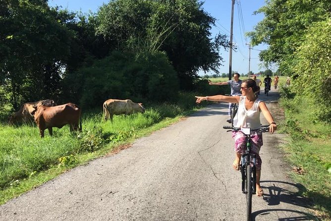 Full Day Cycling Tour to Sukhothai Historical Park - Pickup and Drop-off