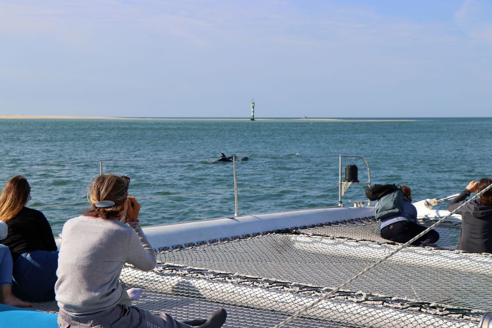 Full-Day Dolphin Watching Tour From Lisbon - Transportation and Meeting Point