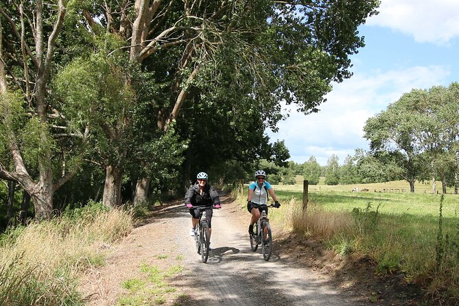 Full Day Ebike Tour in Karangahake Gorge (ex Auckland) - Scenic Routes