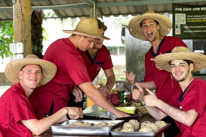 Full Day Experience at Ran-Tong Save & Rescue Elephant Centre - Customer Experiences