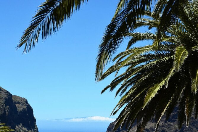 Full-day Guided Bus Tour to Mt. Teide and the Towns of Icod, Garachico, Masca - Important Policies