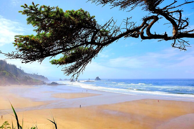 Full-Day Guided Oregon Coast Tour From Portland - Customer Reviews