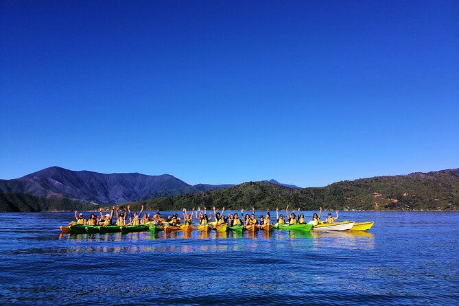 Full Day Guided Sea Kayak Tour From Picton - Accessibility and Requirements