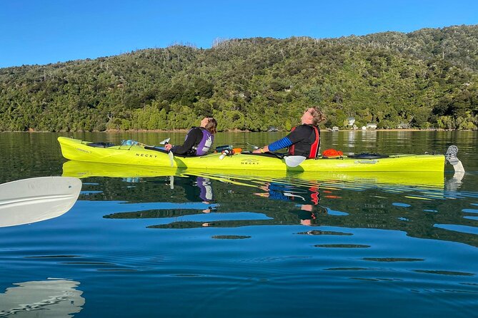 Full-Day Guided Sea Kayak Trip From Picton - Customer Reviews