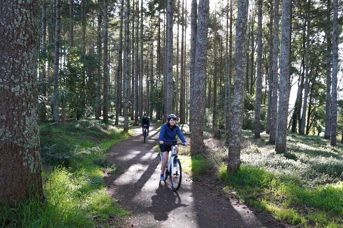 Full Day Guided Waikato River Trail E-bike Tour - Pricing and Cancellation Policy