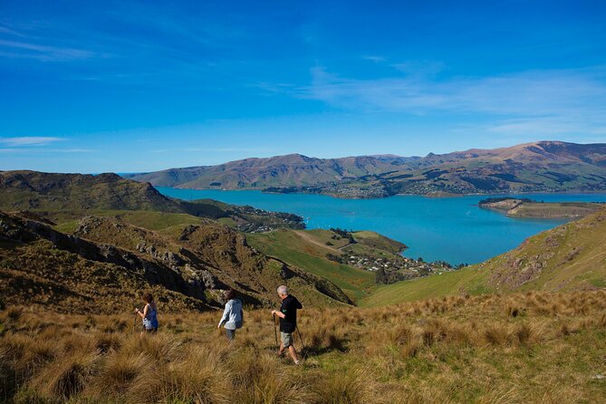 Full Day Guided Walking Tour and Picnic on Banks Peninsula - Accessibility Considerations