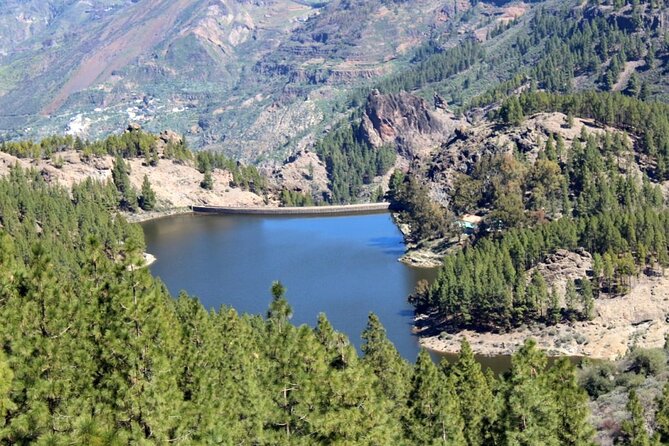 Full Day Hiking Gran Canaria Peaks of Gran Canaria - Group Size and Age