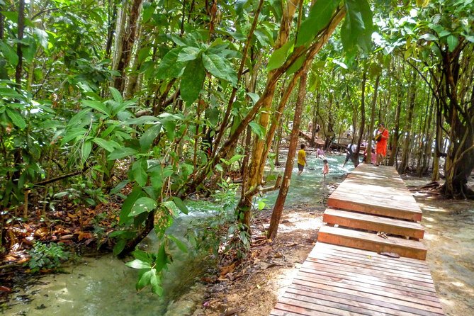 Full-Day Jungle Tour Including Tiger Cave Temple, Crystal Pool and Krabi Hot Springs - Inclusions and Exclusions