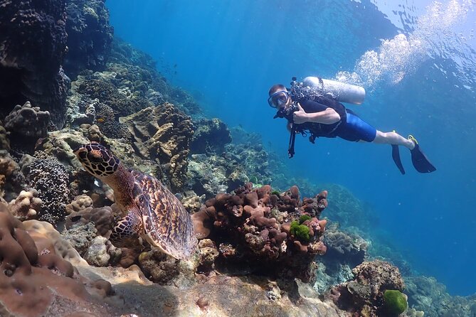 Full-Day Koh Phi Phi Scuba Diving Course From Phuket - Customer Reviews and Ratings