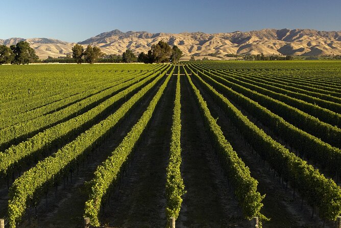Full-Day Marlborough Wine Tour From Blenheim - Important Considerations