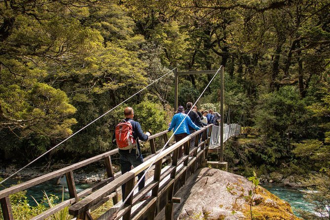 Full-Day Milford Sound Tour With Cruise and Walks From Te Anau - Guest Experiences