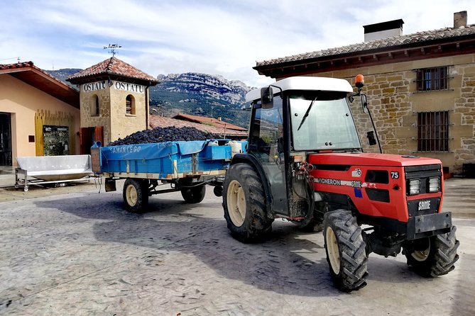 Full-Day Private Cultural and Gastronomic Adventure in Rioja - Traditional Riojan Lunch