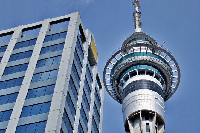 Full Day Private Shore Tour in Auckland From Auckland Cruise Port - Booking Instructions