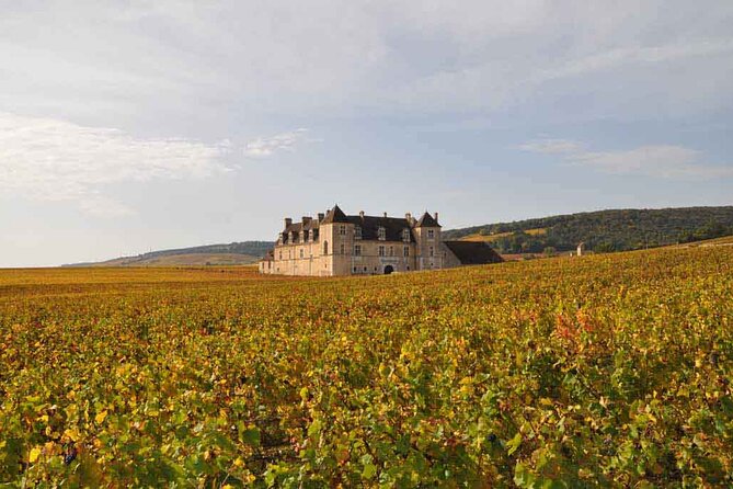 Full Day Private Tour 10 Premiers & Grands Crus, The Best of Burgundy - Booking Information