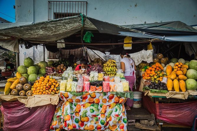 Full Day Route of the Flowers Visit Four Colonial Towns and Coffee Farm - Accessibility Information