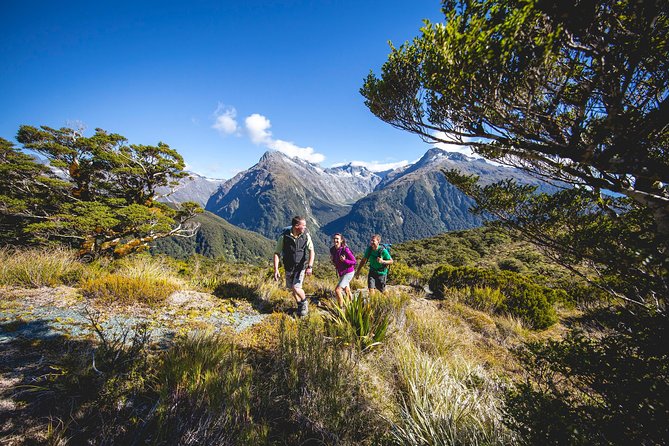 Full-Day Routeburn Track Key Summit Guided Walk From Te Anau - What to Expect on the Trail