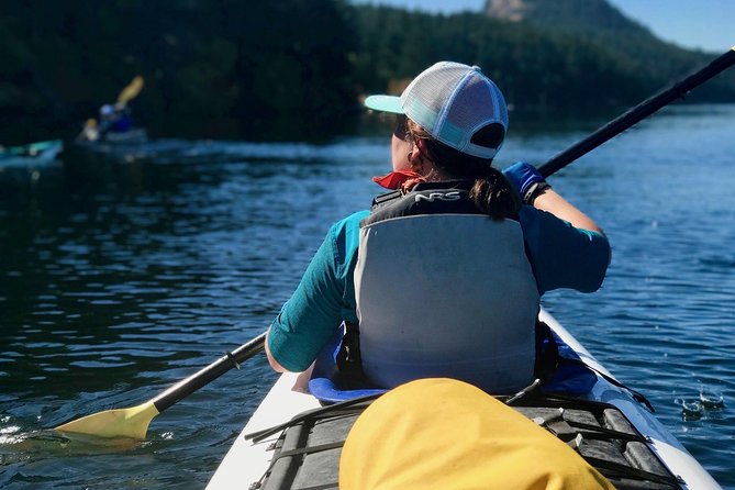 Full Day San Juan Island Kayaking Adventure - Tips for Your Trip