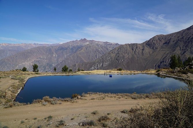 Full Day Tour / Colca Canyon - Best Time to Visit