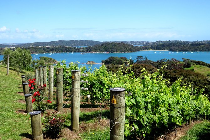 Full-Day Tour of Waiheke Island With Wine Tastings - Notable Wineries to Visit