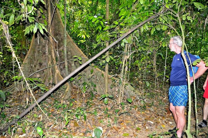 Full-Day Tour to Cheow Lan Lake in Khao Sok National Park From Krabi - Scenic Landscapes and Activities