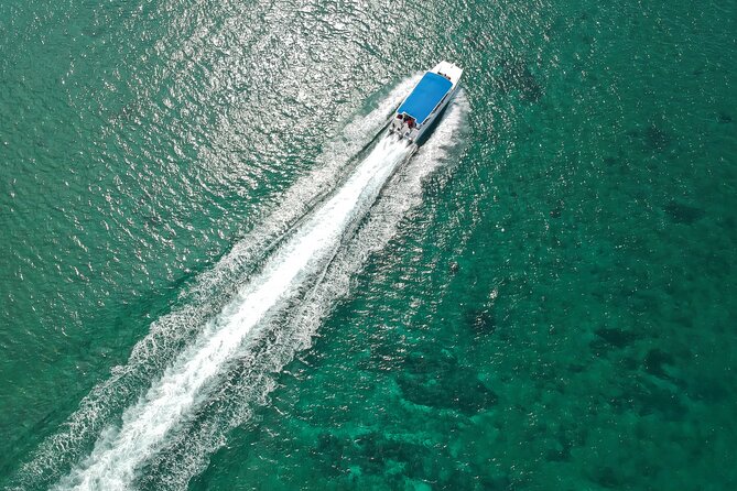 Full-Day Tour to Saona Island Sailing With Lunch Free Beverages! - Tips for a Smooth Experience