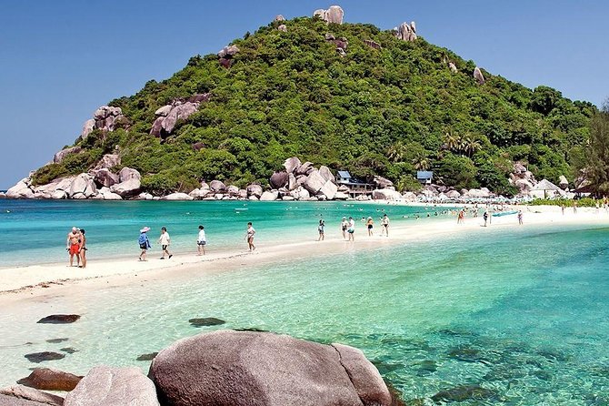 Full-Day Trip to Koh Tao and Koh Nang Yuan From Koh Samui by Speedboat - Guest Experiences