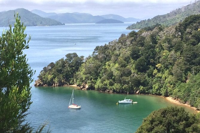 Full-Day Wine Gourmet and Scenic Delight Tour of Marlborough From Blenheim - Accessibility Features