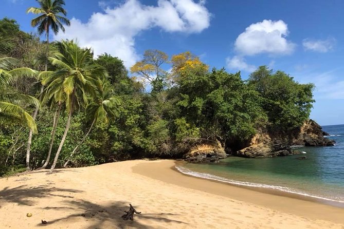 Full Island Tour (Including Lunch & Snorkeling) - Customer Reviews