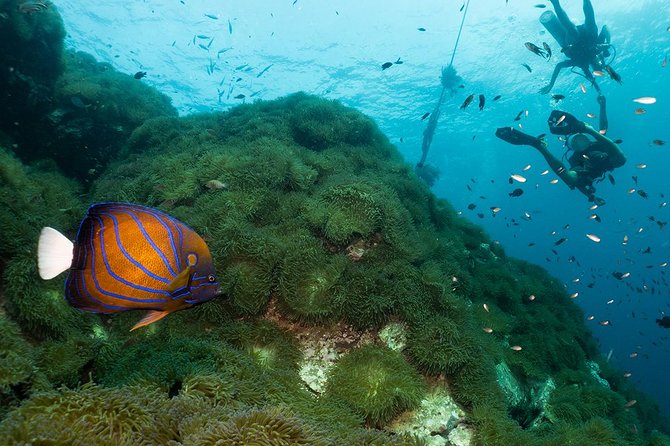 Fun Diving Packages (Certified Divers) - Meeting and Pickup Locations