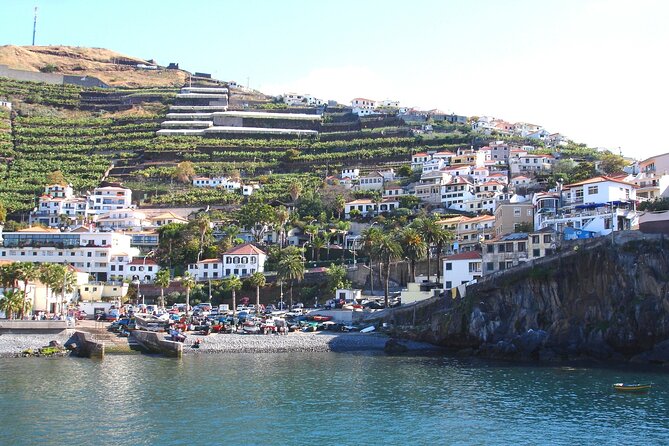 Funchal Hop-On Hop-Off Tour 3 in 1 - Customer Experiences and Feedback
