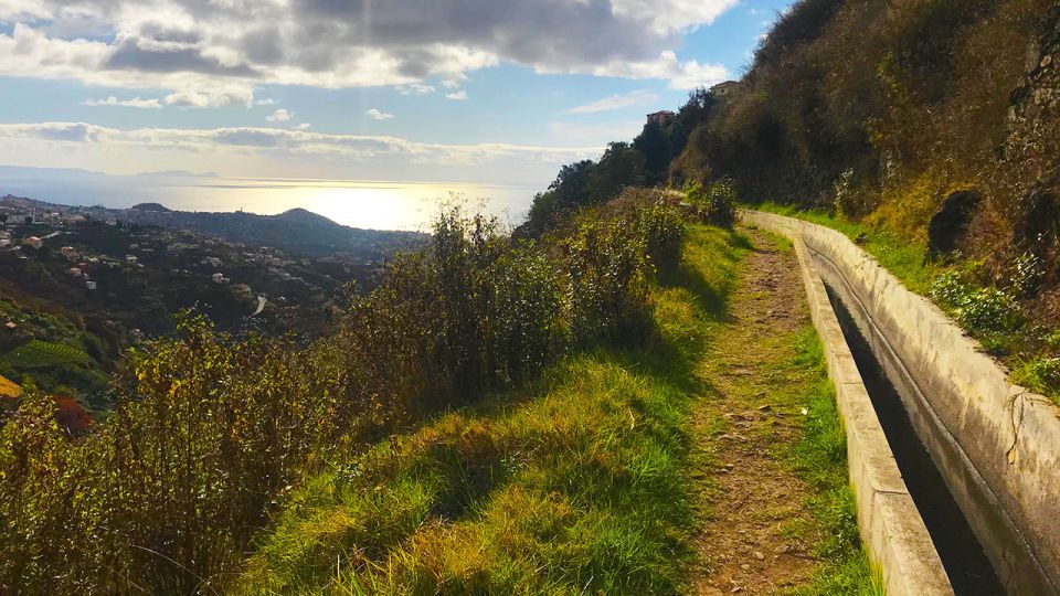 Funchal: Northern Levada Walking Tour - What to Expect