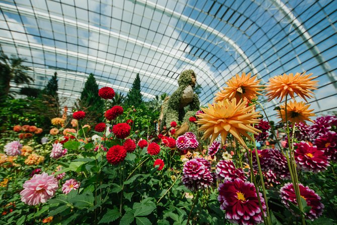 Gardens by the Bay With One Way Transfer (2 Domes) - Visitor Experience and Accessibility