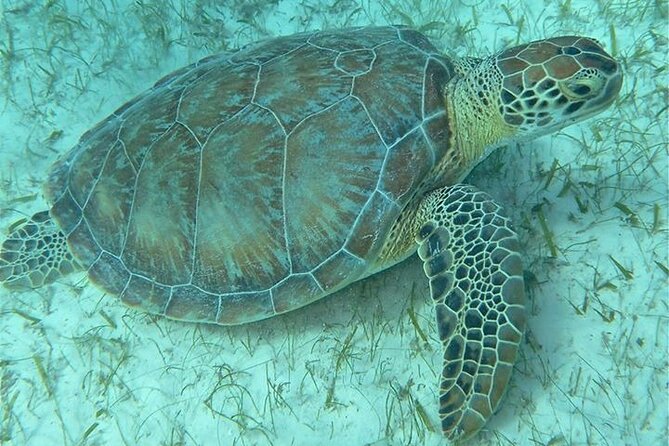Get SCUBA Certified at San Juan - Reviews and Testimonials