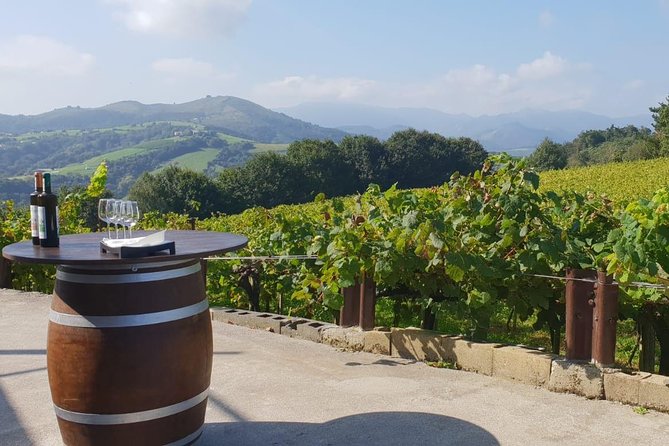 Getaria Txakoli Wine Tour With Hotel Pick-Up From San Sebastian - Accessibility Features