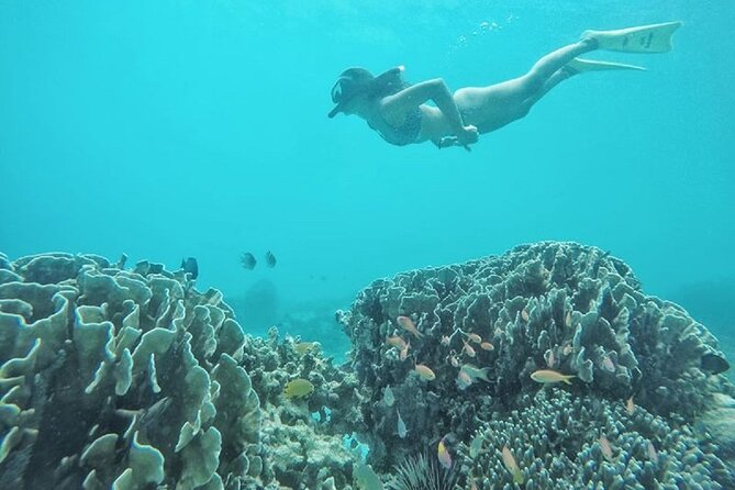 Gili Island Snorkeling Half Day Trip Departure From Gili Trawangan - Cancellation Policies