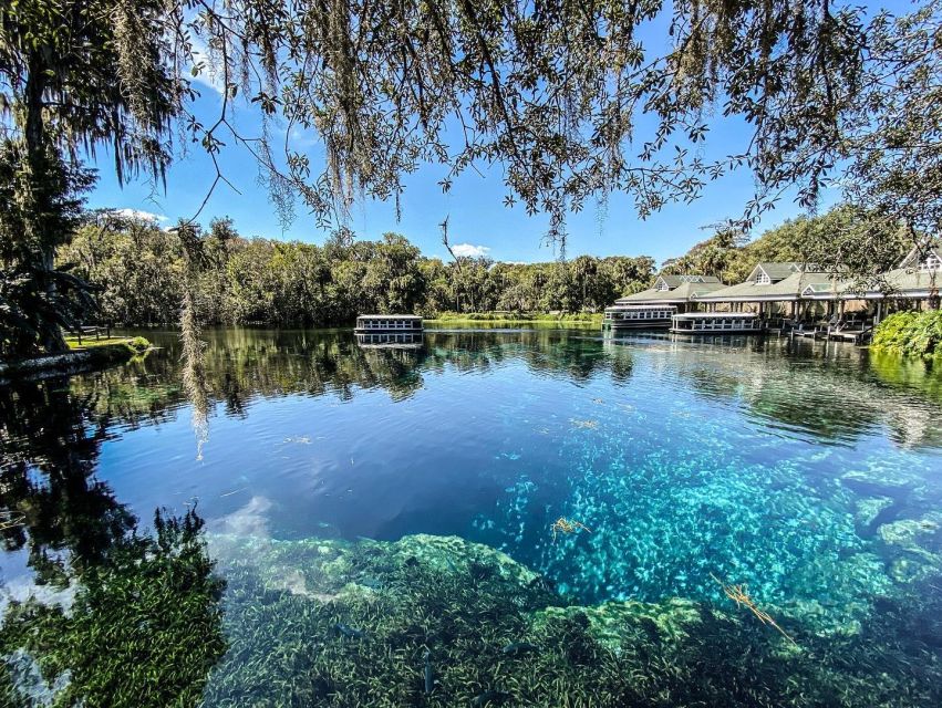 Glass Bottom Kayak Guided Tour: Silver Springs - Physical Preparation