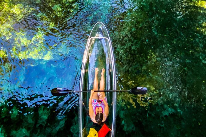 Glass Bottom Kayak Tours of Silver Springs - Recap