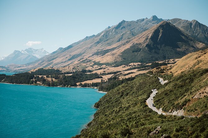 Glenorchy Kiwi Special Tour - Considerations for Booking